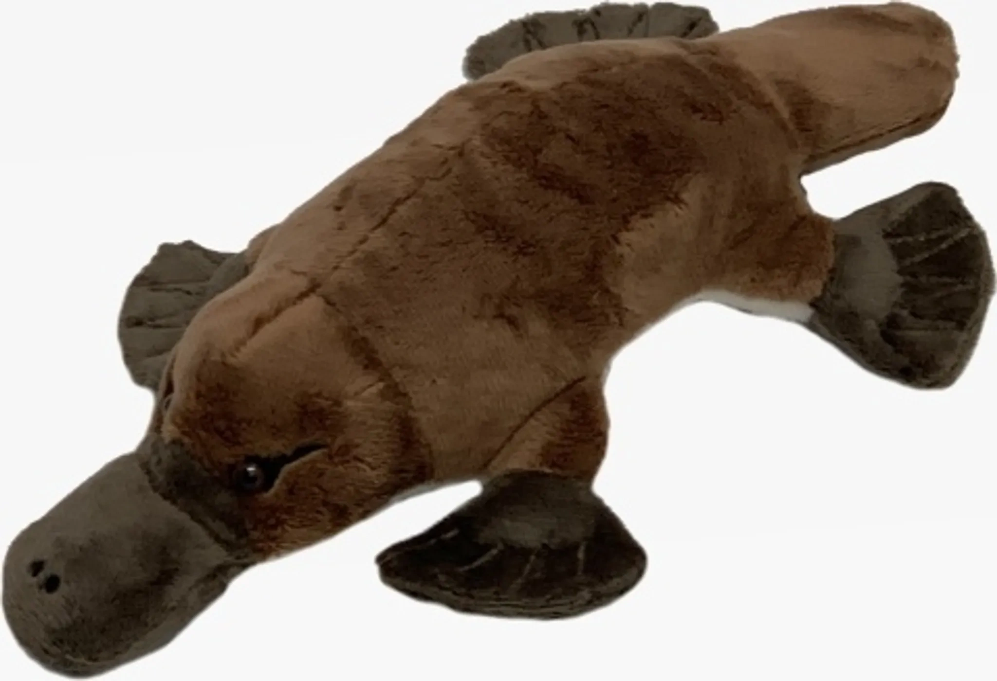 Süßes Plüsch Schnabeltier – Kuscheltier 28 cm